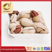Good Quality Delicious New Crop Pecan Kernels Pecan in Shell